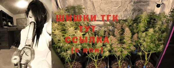 дмт Богородицк