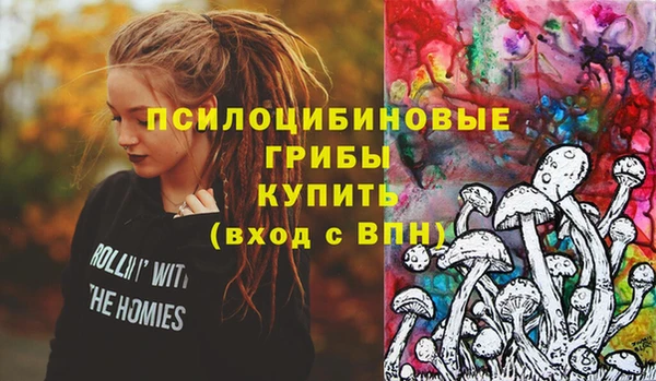 ECSTASY Тобольск