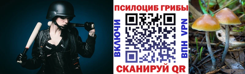 kraken ссылки  что такое   Бирюч  Псилоцибиновые грибы мицелий 
