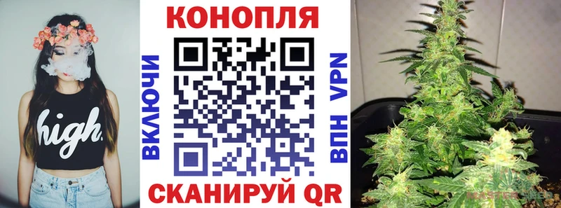Марихуана сатива  KRAKEN маркетплейс  Бирюч 